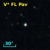 V* FL Pav