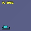 IC 4981