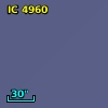 IC 4960