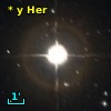 * y Her