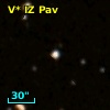 V* IZ Pav