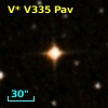 V* V335 Pav