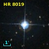HR  8019