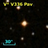 V* V336 Pav