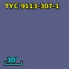 TYC 9113-307-1