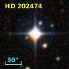 HD 202474
