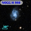 NOGG H  980