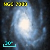NGC  7083
