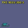 TYC 9111-202-1