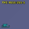 TYC 9111-211-1