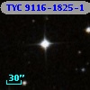 TYC 9116-1825-1