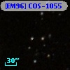 [EM96] COS-1055