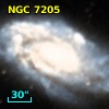 NGC  7205