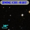 [EM96] COS-0107