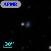 APMBGC 238-112-031