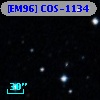[EM96] COS-1134
