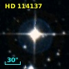 HD 114137