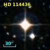 HD 114436