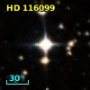 HD 116099