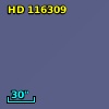 HD 116309