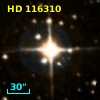 HD 116310