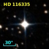 HD 116335