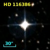 HD 116386
