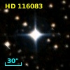 HD 116083