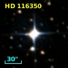 HD 116350