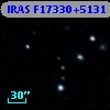 IRAS F17330+5131