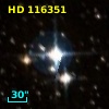 HD 116351