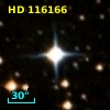 HD 116166