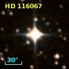 HD 116067