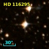 HD 116295