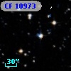CF 10973