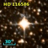 HD 116586