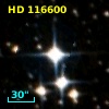 HD 116600