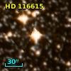 HD 116615