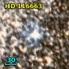HD 116663