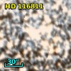 HD 116811