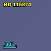HD 116874