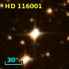 HD 116001