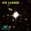 HD 116068