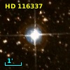 HD 116337