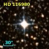 HD 116980