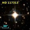 HD 117313