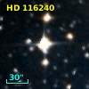 HD 116240