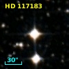 HD 117183