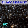 Cl* NGC 5139      M      37