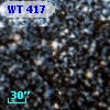 WT  417
